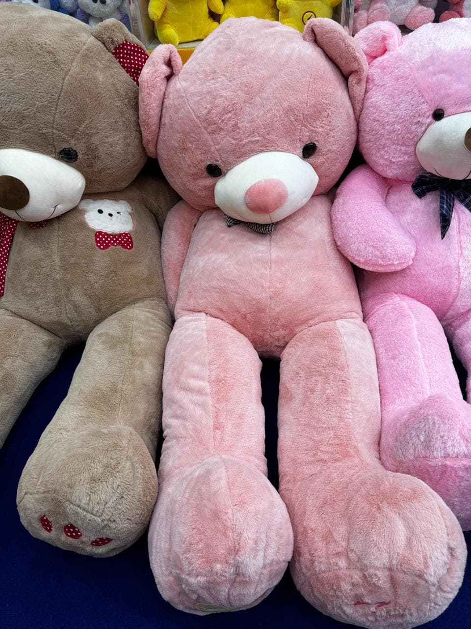 Limited Edition Collection